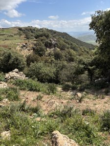 IMG_2580.jpeg