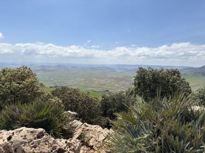 IMG_2562.jpeg