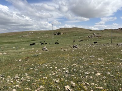 IMG_2582.jpeg