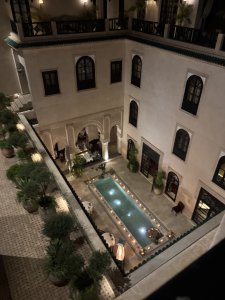 IMG_2725.jpeg
