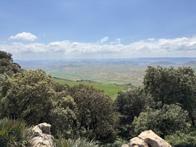 IMG_2560.jpeg