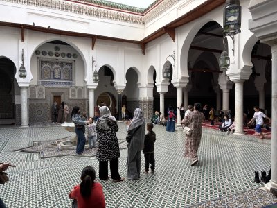 IMG_2705.jpeg