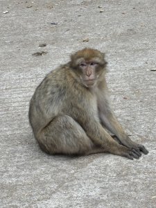 IMG_2751.jpeg