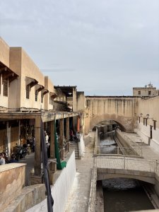 IMG_2668.jpeg