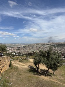 IMG_2632.jpeg
