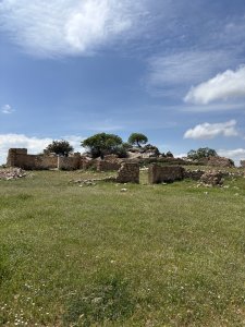 IMG_2559.jpeg