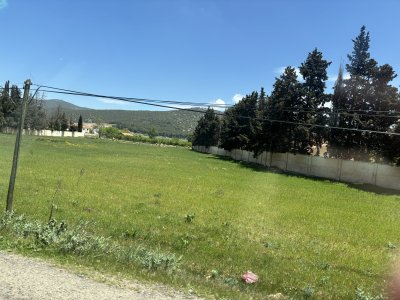IMG_2622.jpeg