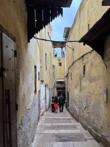 IMG_2683.jpeg