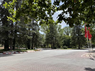 IMG_3392.jpeg